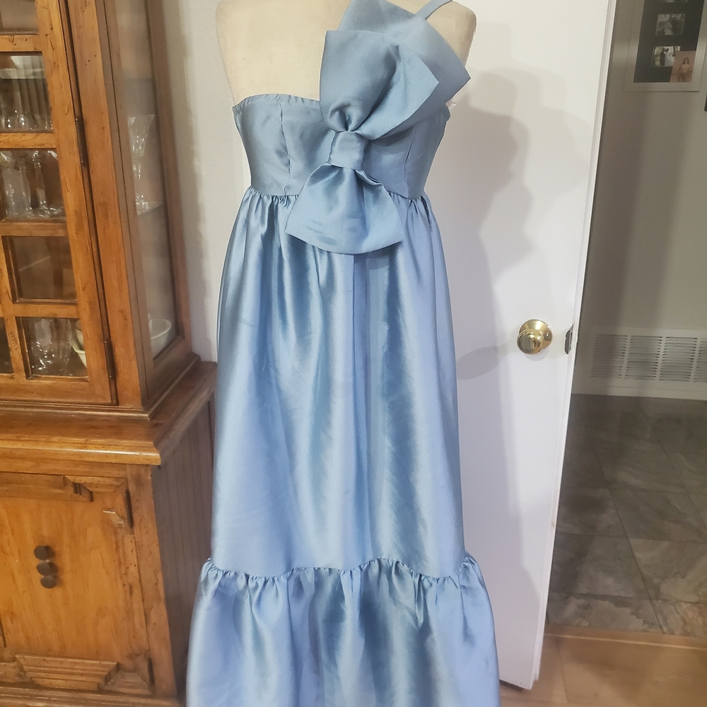 Petal & Pup Blue Maxi Dress - Picture 3 of 10